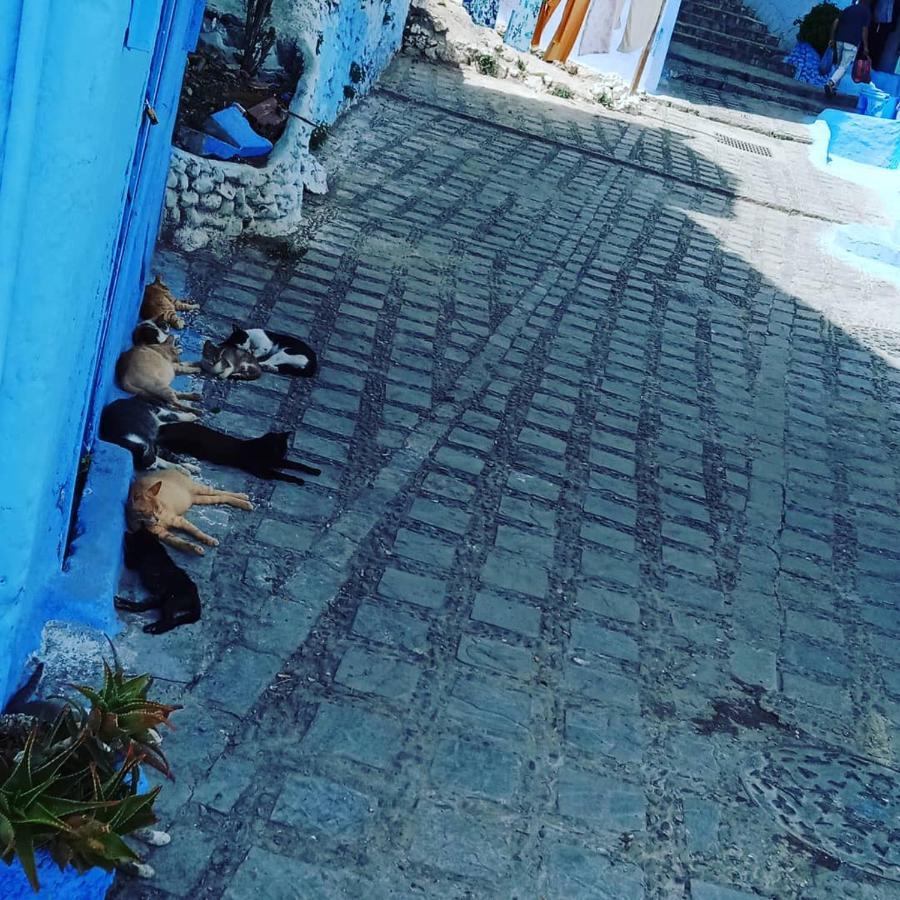 Ferienwohnung Casa Mablu Chefchaouen Exterior foto